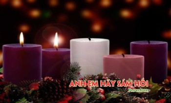 Chúng ta cũng phải sinh hoa quả