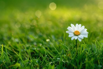 Người vô thần có thể được cứu độ?