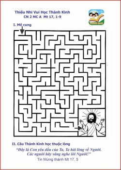 VHTK Mê Cung CN 2 MC A