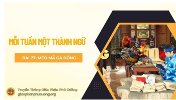 Mèo mả gà đồng - Mỗi tuần một thành ngữ