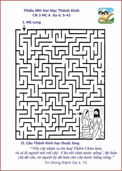 VHTK Mê Cung CN 3 MC A