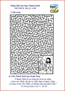 VHTK Mê Cung CN 5 MC A