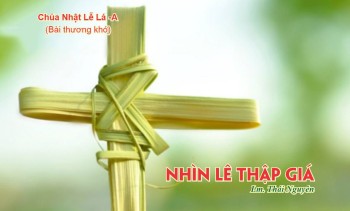 Suy niệm Chúa Nhật Lễ Lá -Năm A
