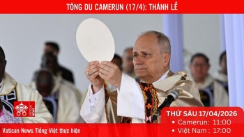 Tông du Camerun: THÁNH LỄ tại SVĐ “Japoma”