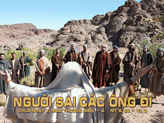 Tự do đáp lời – Khi tình yêu chấp nhận rủi ro