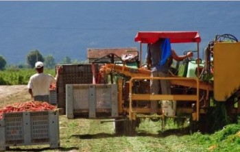 Ngày Thế giới Cầu nguyện cho việc Chăm sóc Thụ tạo