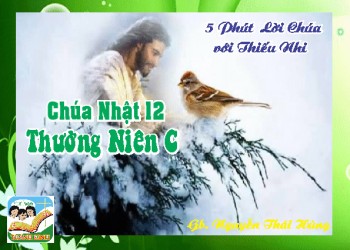 CN XII T A- 5 phút Lời Chúa với Thiếu Nhi