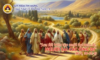 SNTM Chúa Nhật XI Thường Niên -Năm A