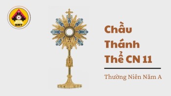 Chầu Thánh Thể Chúa Nhật XI Thường niên Năm A