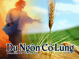 Tội lỗi và ân sủng
