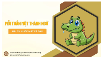 Nước mắt cá sấu - Mỗi tuần một thành ngữ