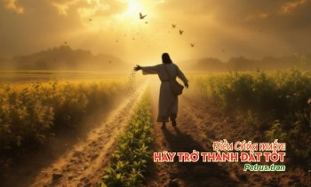 Điều Chúa muốn - Hãy trở thành đất tốt