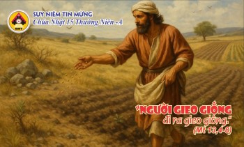 SNTM Chúa Nhật XV Thường Niên -Năm A