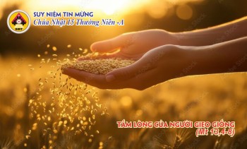 Tấm lòng của người gieo giống