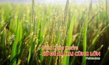Điều Chúa muốn: Cứ để cả hai cùng lớn…