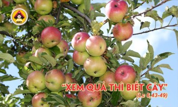 Lời Chúa THỨ BẢY TUẦN 23 THƯỜNG NIÊN