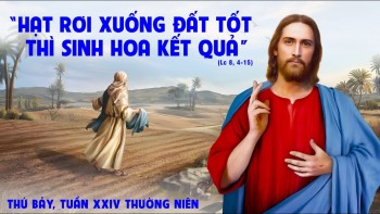 ​​​​​​​Mảnh đất nào cho Lời Chúa?