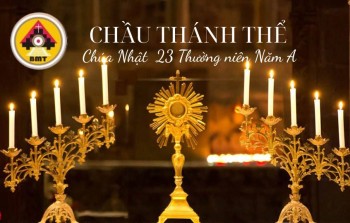 CHẦU THÁNH THỂ CHÚA NHẬT 23 THƯỜNG NIÊN NĂM A