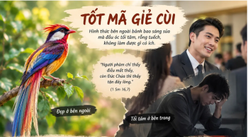 Tốt mã giẻ cùi