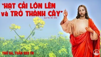 Hạt cải nhỏ-nắm men âm thầm