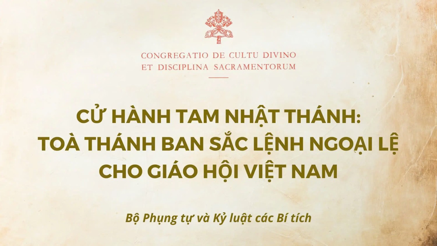 vn240425a
