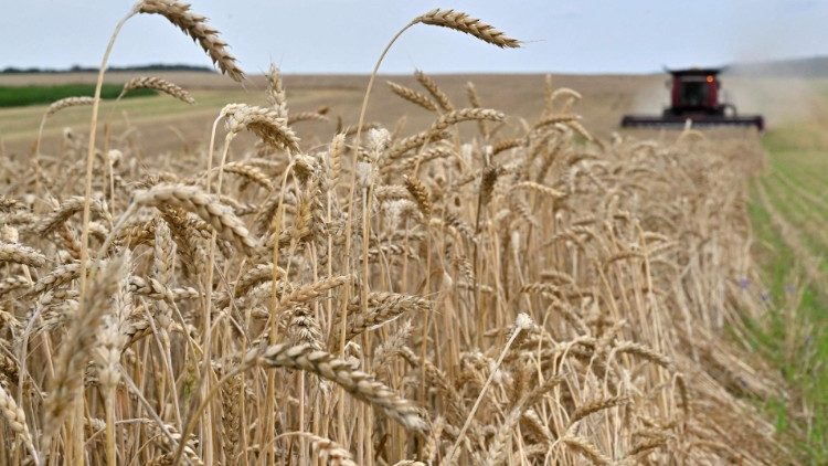 Kêu gọi Nga gia hạn thỏa thuận về ngũ cốc