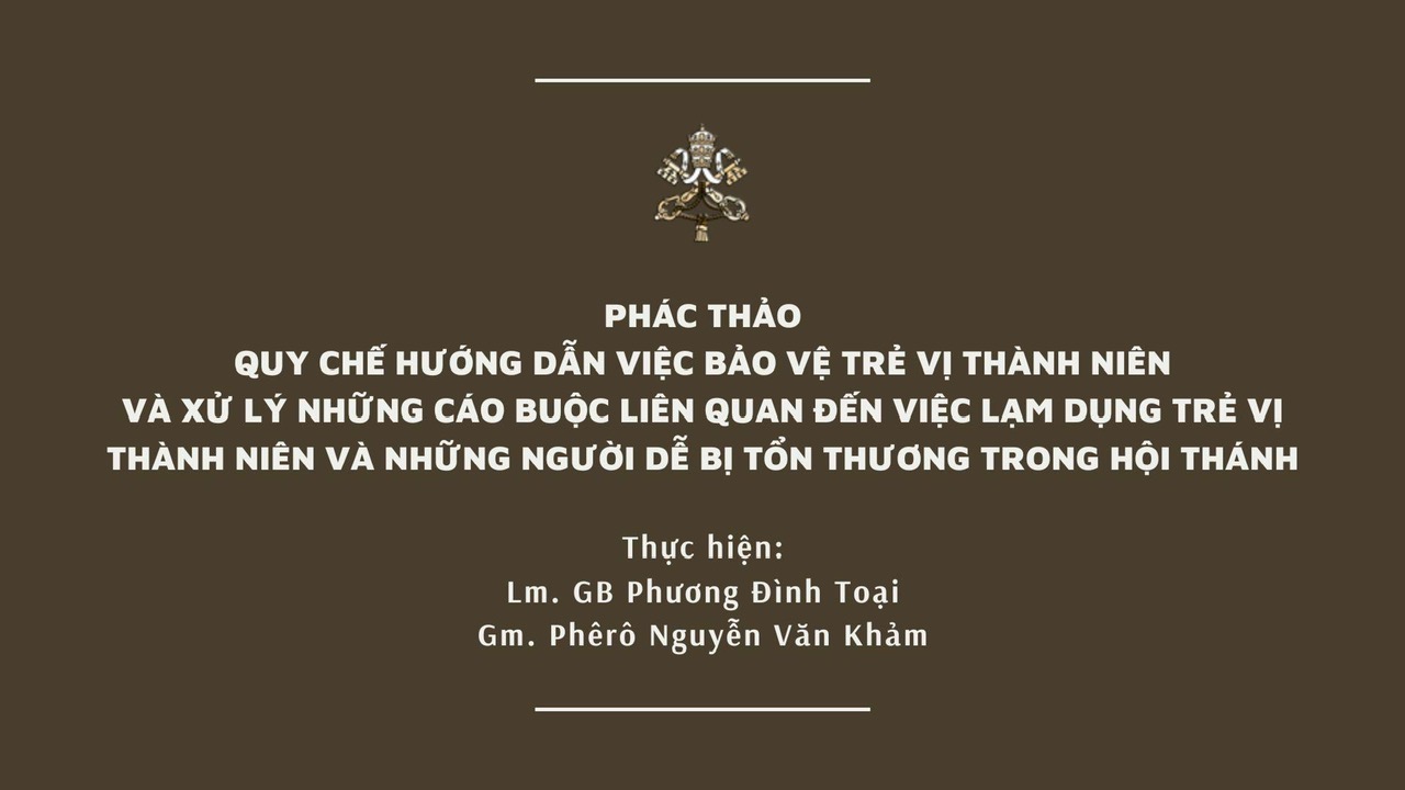 Phác Thảo Quy Chế Hướng Dẫn việc Bảo Vệ Trẻ Vị Thành Niên