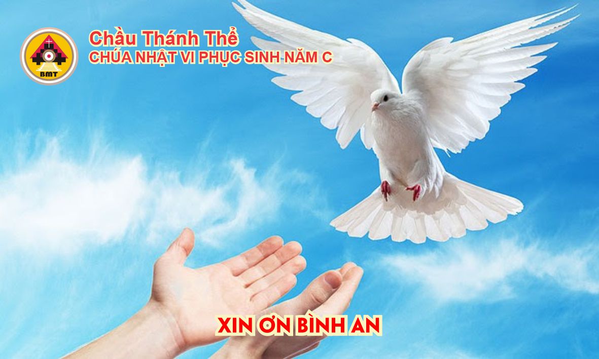 CTT 220525a