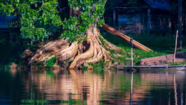 Nước: Từ công trình sáng tạo đến sự sống mới
