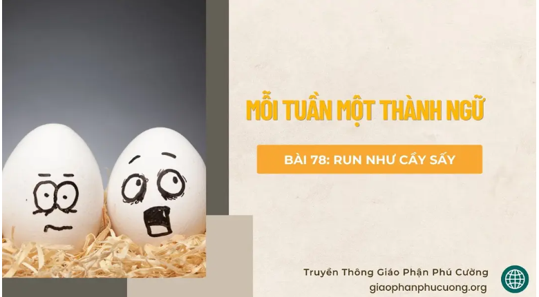 Run như cầy sấy - Mỗi tuần một thành ngữ