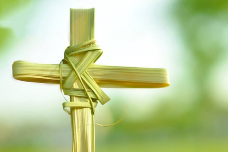 Chút Suy Tư Ngày  Lễ Lá