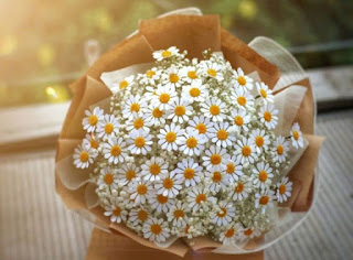 Sự ngọt ngào của tình yêu thầm lặng