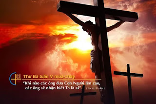 Chọn lựa: Chết trong tội - Sống trong ân sủng