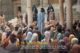 Mầu nhiệm sự sống