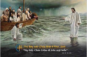 Giữa đời biển động,