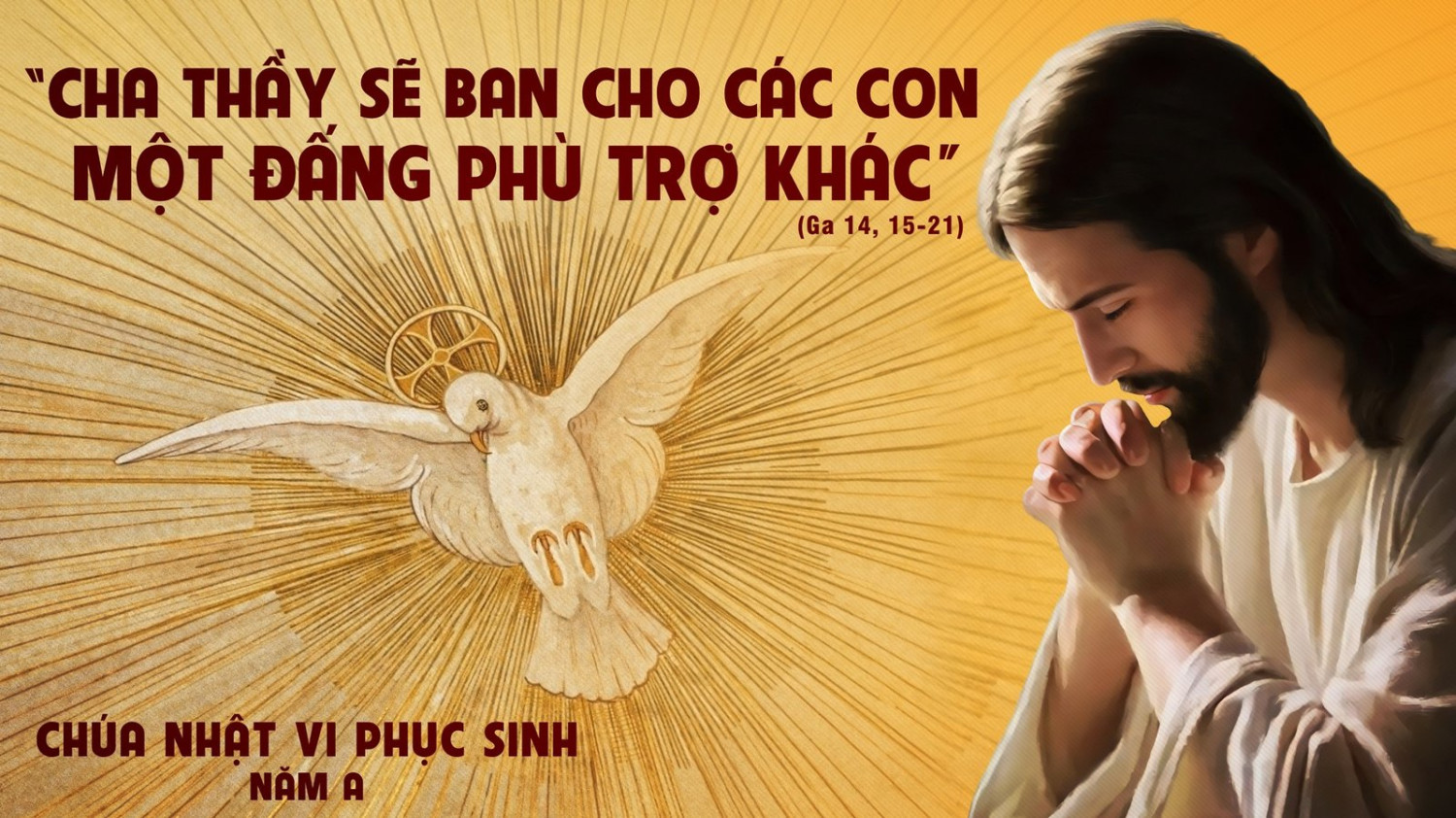 Sống yêu mến: không cô đơn vì có Chúa ở cùng