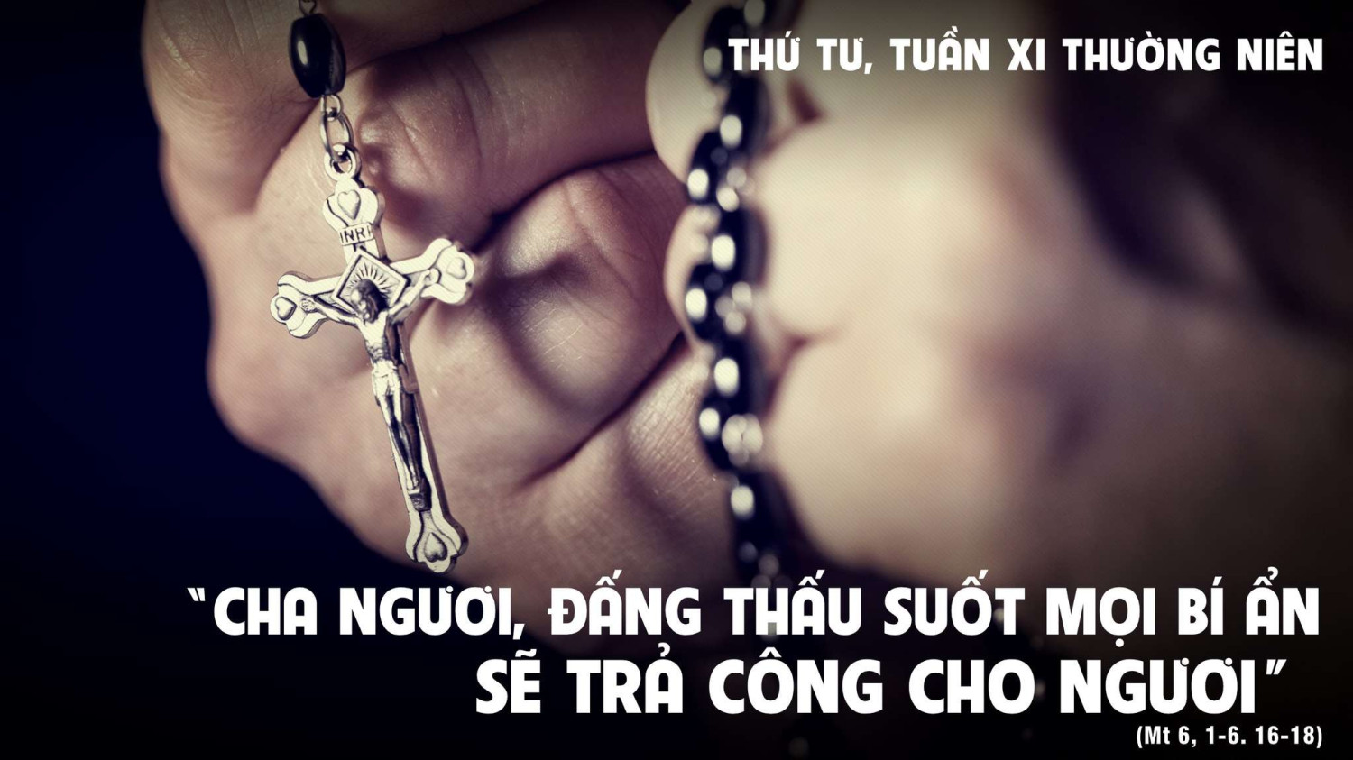 Sống đạo trong Đấng thấu suốt