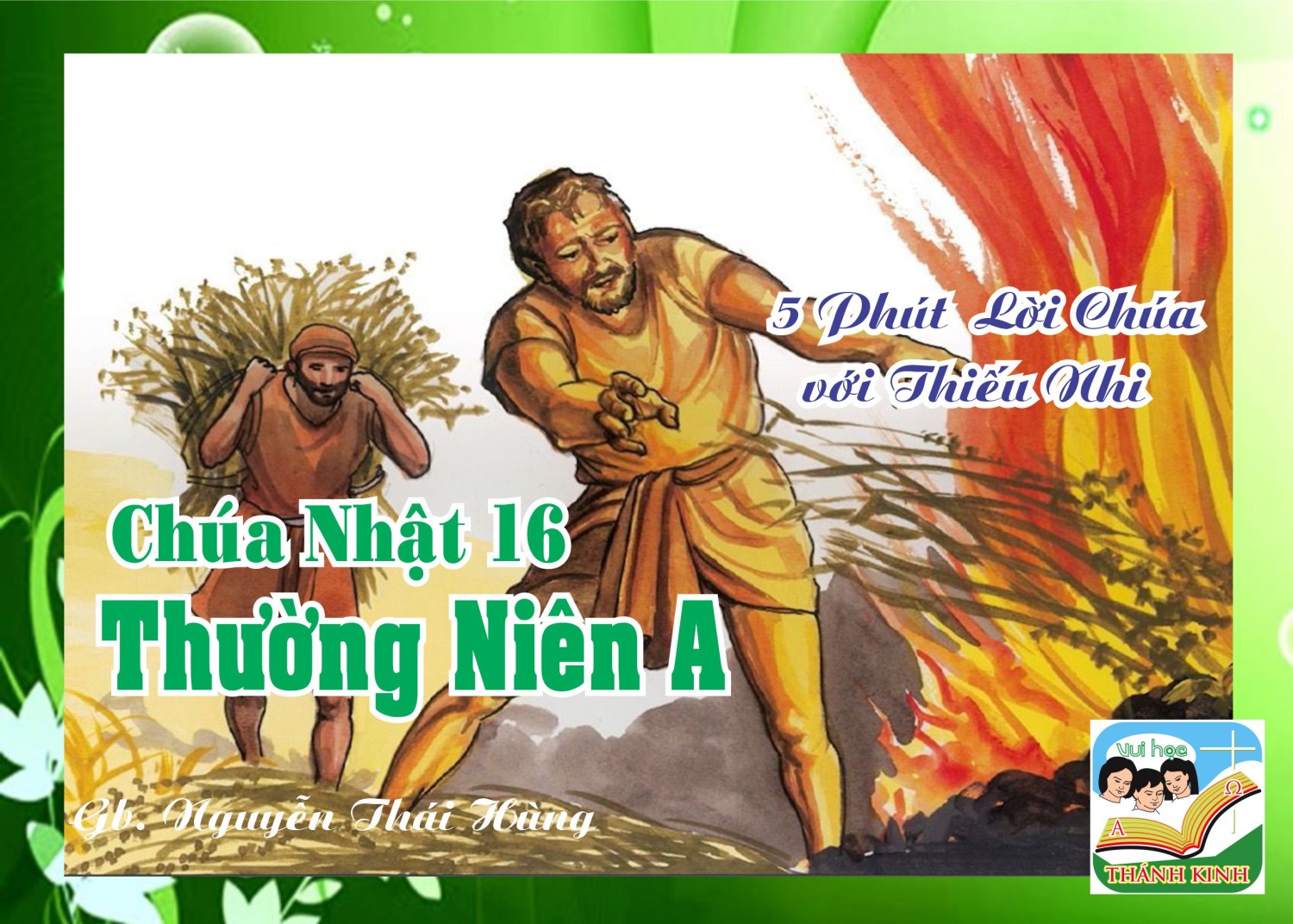 CN 16 TN A- 5 phút Lời Chúa với Thiếu Nhi