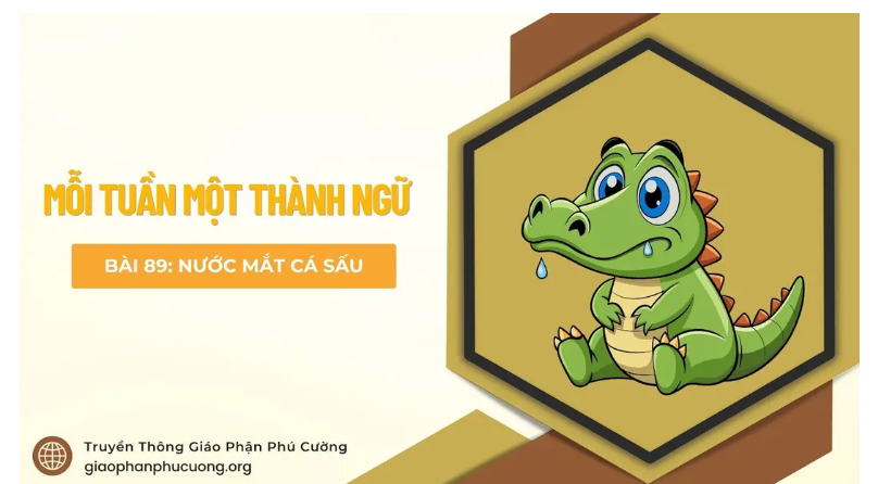 Nước mắt cá sấu - Mỗi tuần một thành ngữ
