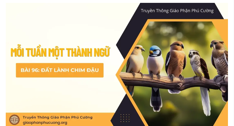 Đất lành chim đậu